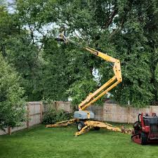 Best Tree Preservation Services  in Stottville, NY