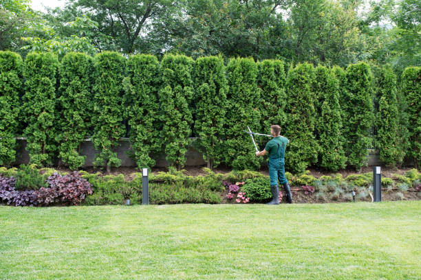 Best Tree and Shrub Care  in Stottville, NY